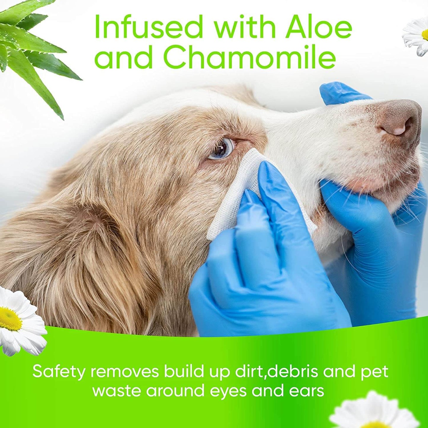 Pet Hygiene Wipes