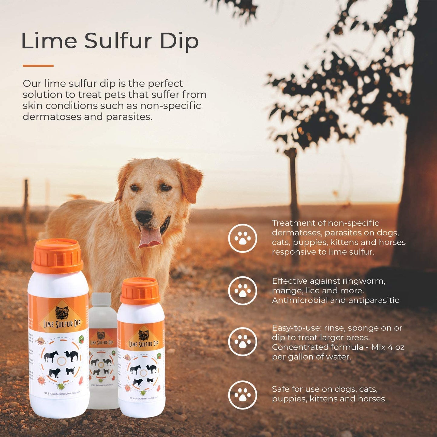 Healthy Paw Life: Lime Sulfur Dip - Pet Care for Itchy and Dry Skin -